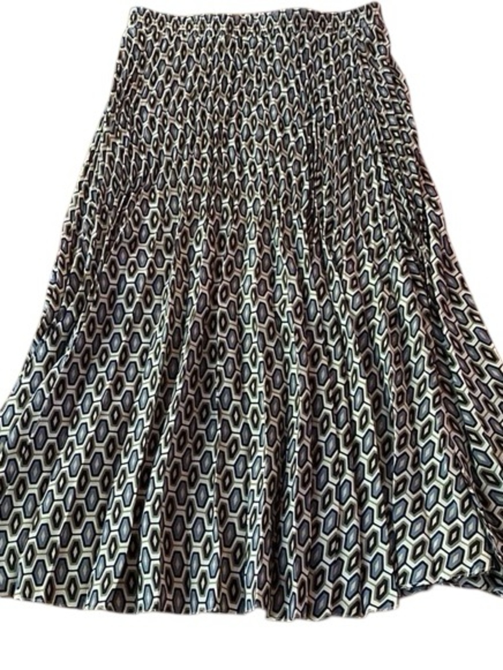 Max Studio Pleated Maxi Skirt